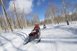 Snowmobile